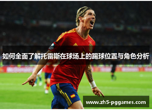 如何全面了解托雷斯在球场上的踢球位置与角色分析