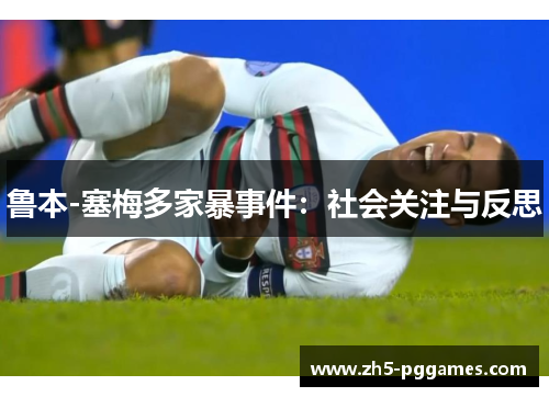 鲁本-塞梅多家暴事件：社会关注与反思