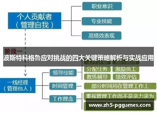 波斯特科格鲁应对挑战的四大关键策略解析与实战应用